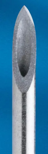 BD 405181 - Quincke Spinal Needle 22G x 3-1/2" (25 count)