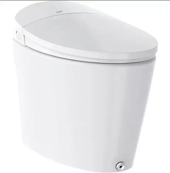 Bemis Sanctuary Elongated Plastic/Ceramic Smart Bidet Toilet White