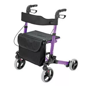 Briggs 501-5012-1110 - Eurostyle Rollator, Purple