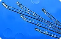 Bx/30 Cure Intermittent Cath Male 10Fr 16In Coude Tip
