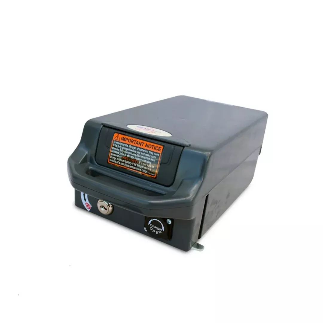 Ev Rider Lithium Battery Replacement For Teqno Scooters