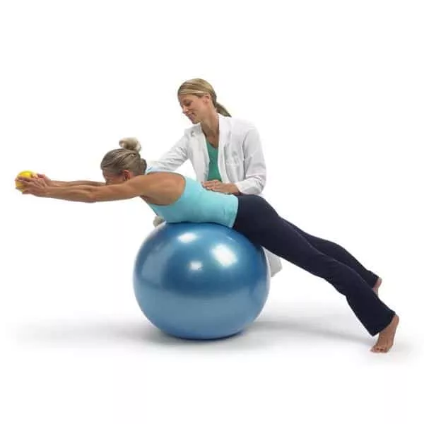 Gymnic Classic Plus Exercise Stability Balls