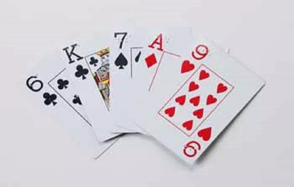 LS&S Braille Playing Cards Standard Size