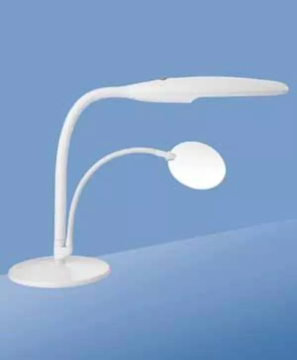 LS&S Daylight Table Top Lamp with Magnifier