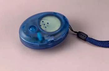 LS&S Easy To Use Digitized Speech Columbus Talking Compass