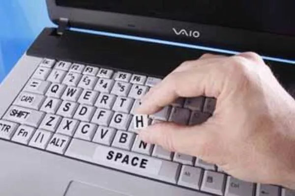 LS&S Laptop Keyboard Stickers