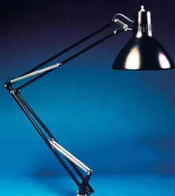 LS&S Luxo Clamp-On Lamp