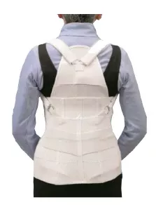 Lumbo Thoracic (LT) - Lumbar Support (Long)