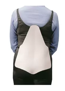 Lumbo Thoracic (LT) - Lumbar Support (Short)