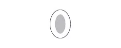 Polymem Shapes, Oval Silver Dressing, Size 3.