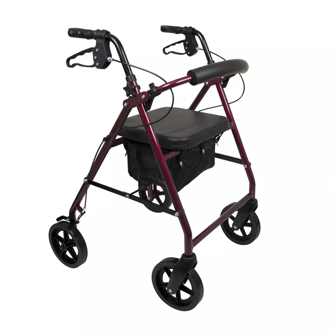 ProBasics Deluxe Lightweight Aluminum Rollator with 8" Wheels