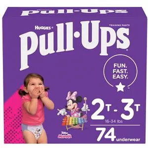 Pull-ups Learning Designs Training Pants, Girl, 2t-3t, Giga Pack- Case of 74