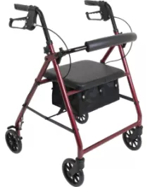 Rollator - ProBasics RLA6 - Basic 6-in. Wheel RollingWalker