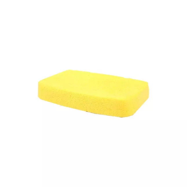Sponge Preparation with Chlorhexidine Gluconate, Alcohol-Free, Box of 30 (2 per Package)
