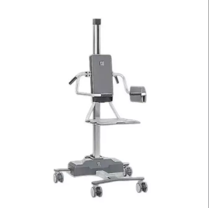 TR9650 Mobile Patient Bath Lift